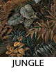 Aesthetica Jungle