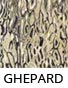 Ghepard